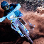 Galeria FE250 2