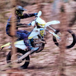 Galeria FE250 5