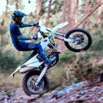 Galeria FE350 3