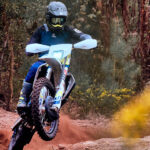 Galeria FE350 5