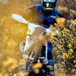 Galeria FE450 2