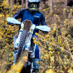 Galeria FE450 5