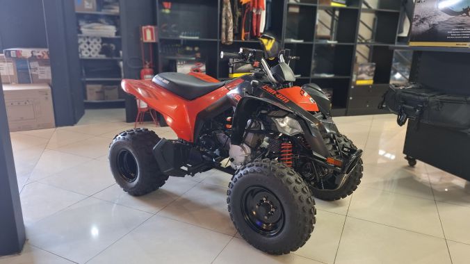 02 DS 250