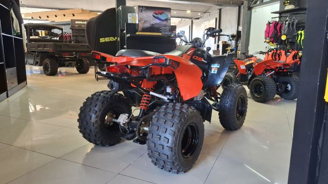 03 DS 250