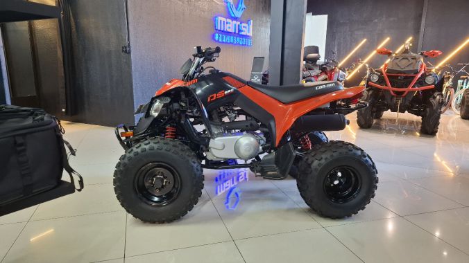 04 DS 250