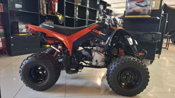 05 DS 250